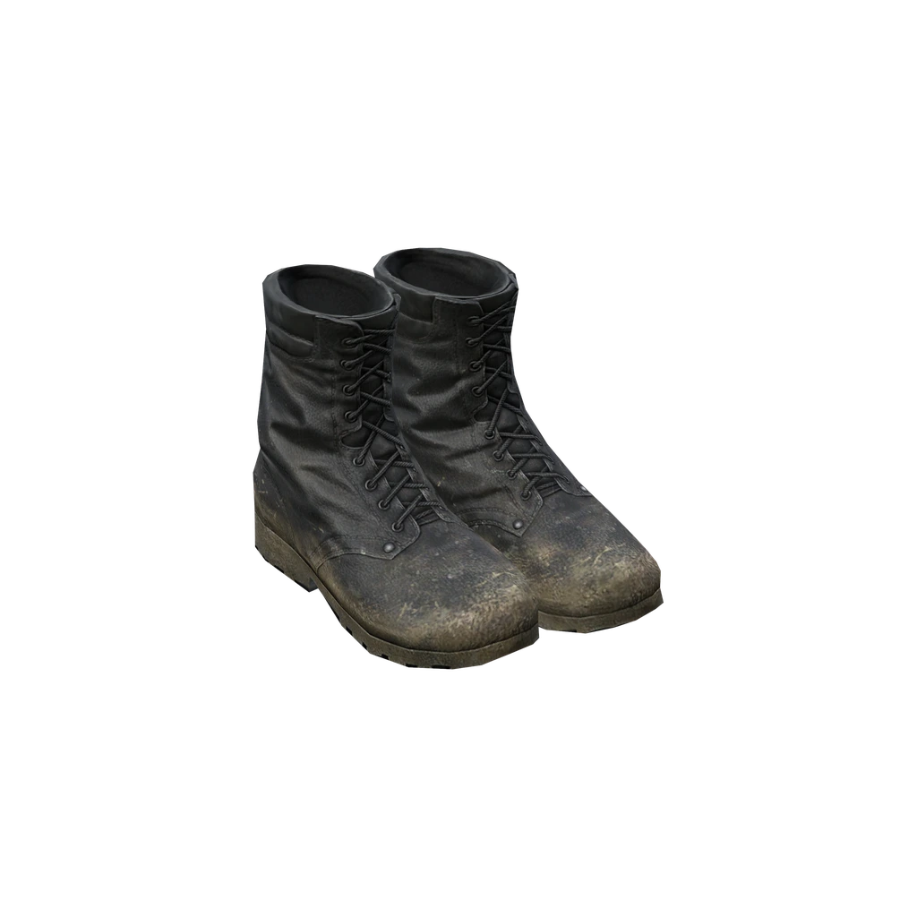 Армейские ботинки (TTSKOBoots), DayZ