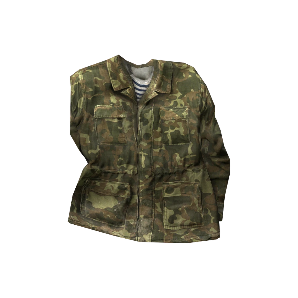 Боевая куртка (TTsKOJacket_Camo), DayZ