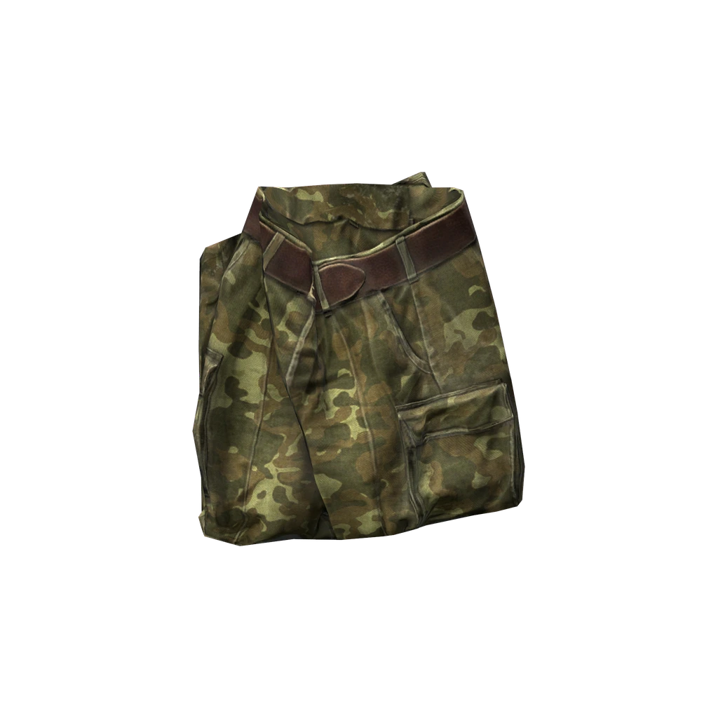 Боевые штаны (TTSKOPants), DayZ