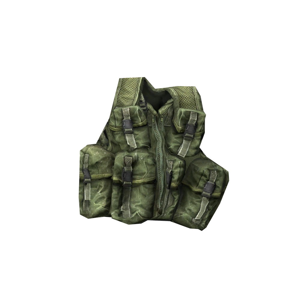 Field Vest (UKAssVest_Olive), DayZ