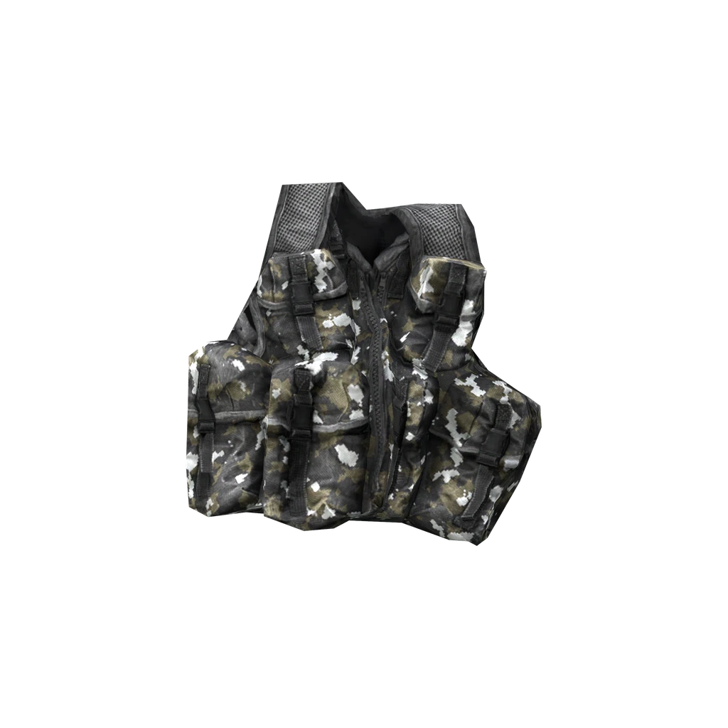 Field Vest (UKAssVest_Winter), DayZ