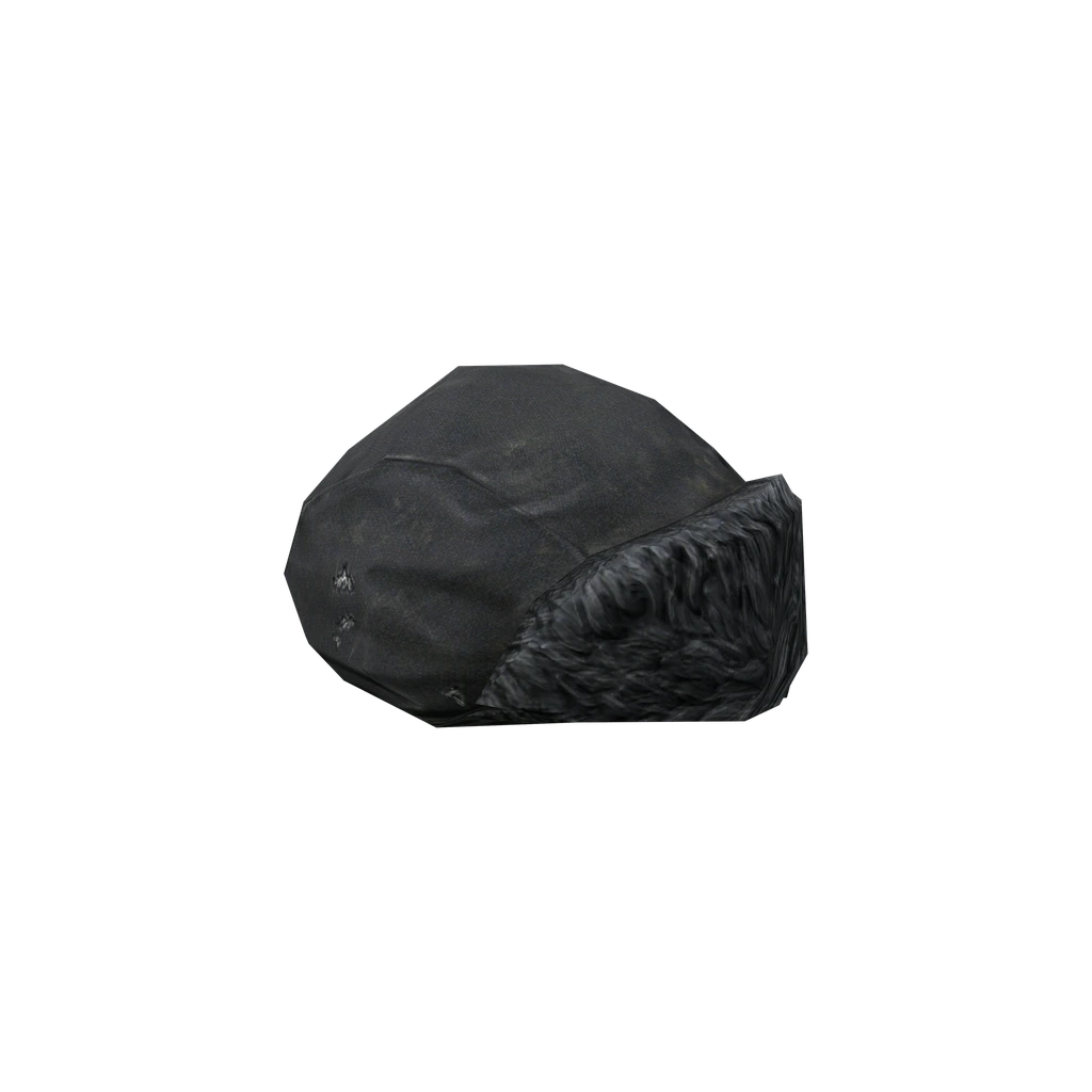 Ushanka (Ushanka_Black), DayZ