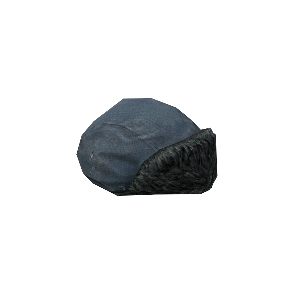 Ushanka (Ushanka_Blue), DayZ