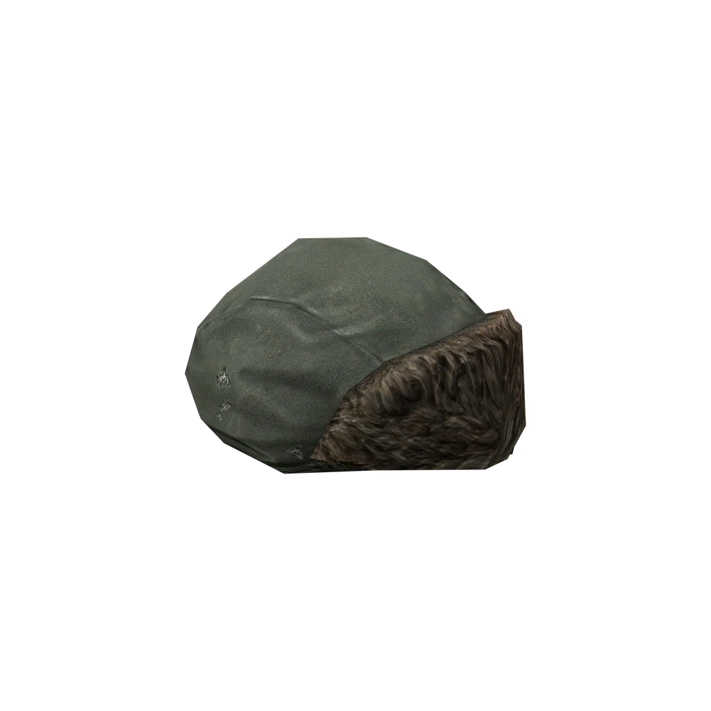 Ushanka (Ushanka_Green), DayZ