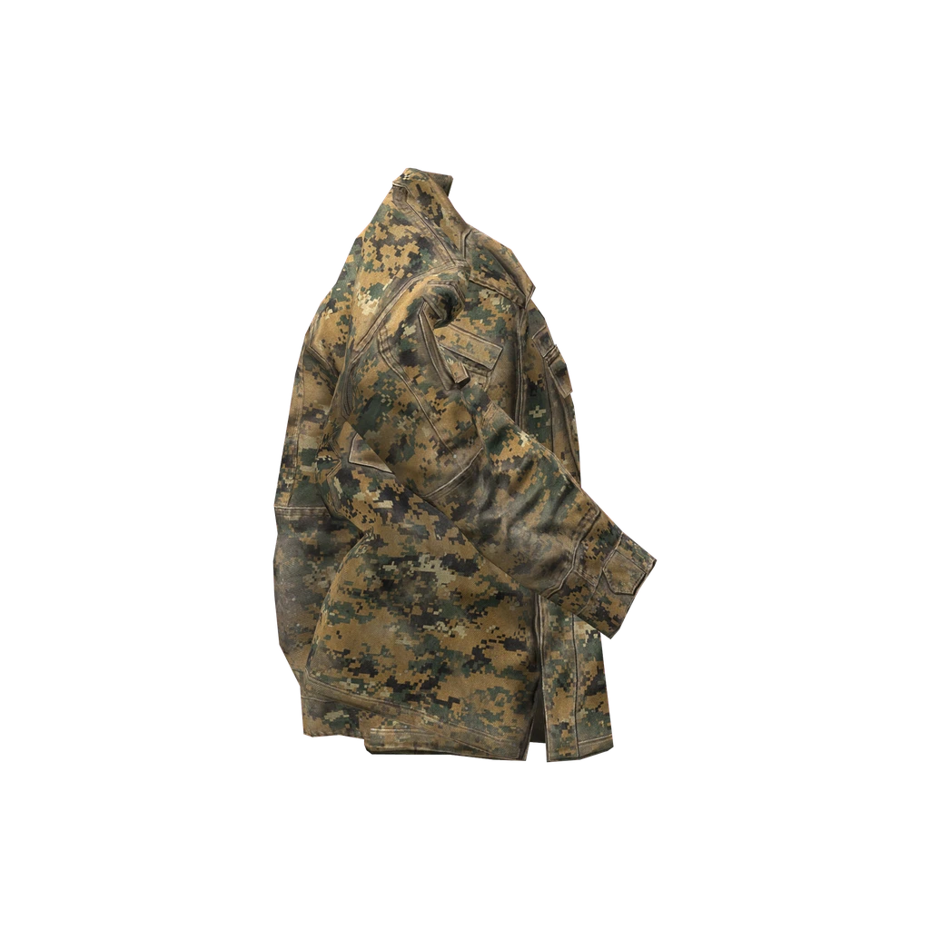 Армейская куртка (USMCJacket_Woodland), DayZ