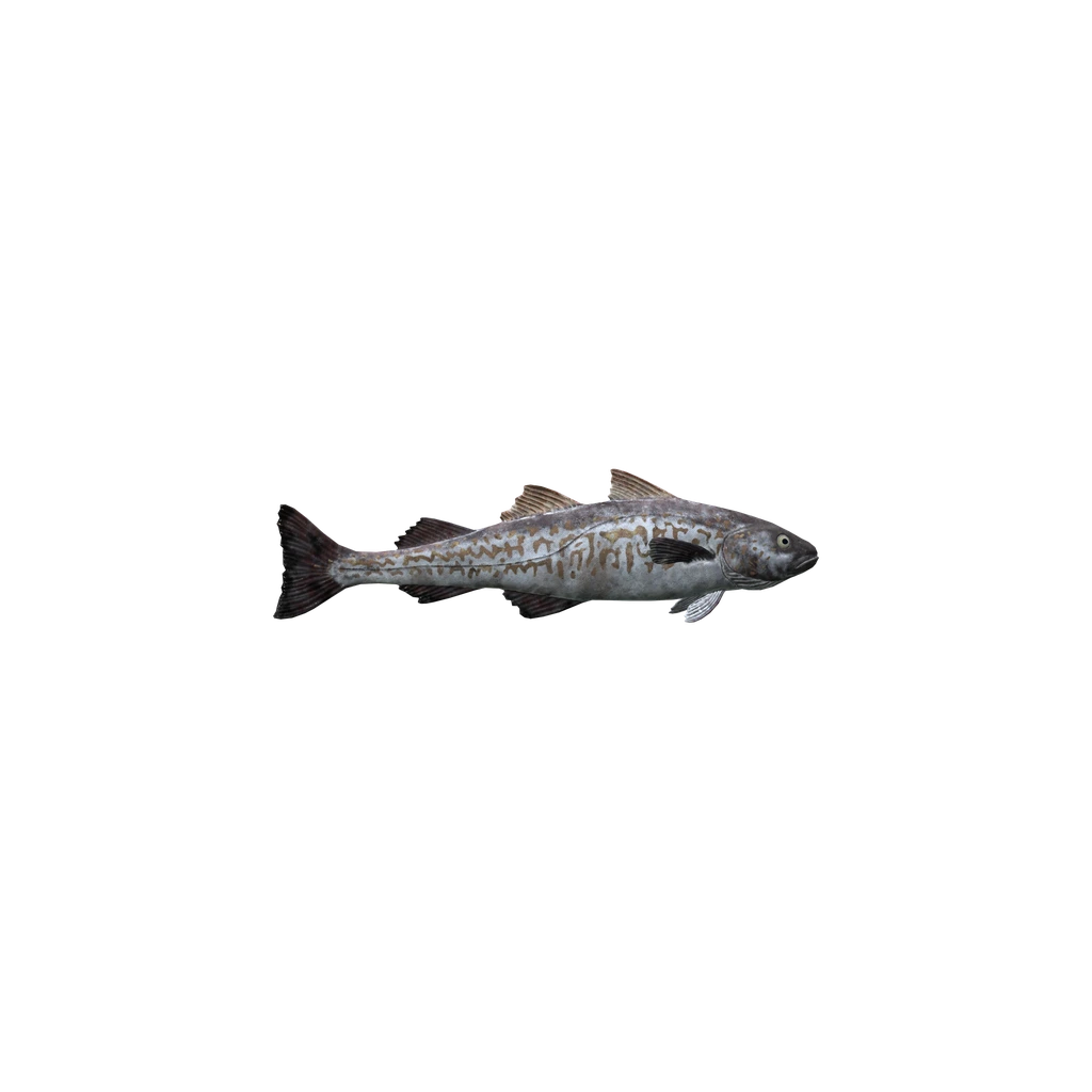 Walleye Pollock (WalleyePollock), DayZ