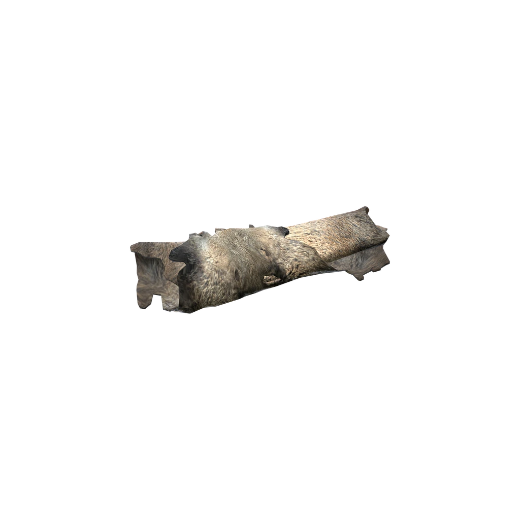 Wildschweinfell (WildboarPelt), DayZ
