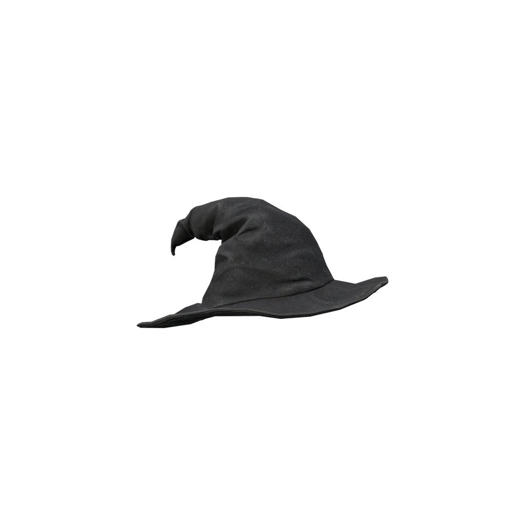 Ведьминский колпак (WitchHat), DayZ