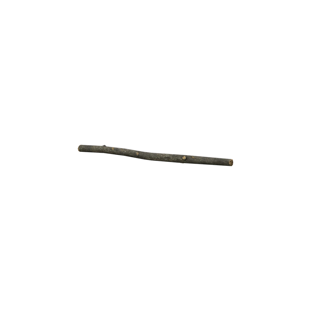 短棒 (WoodenStick), DayZ