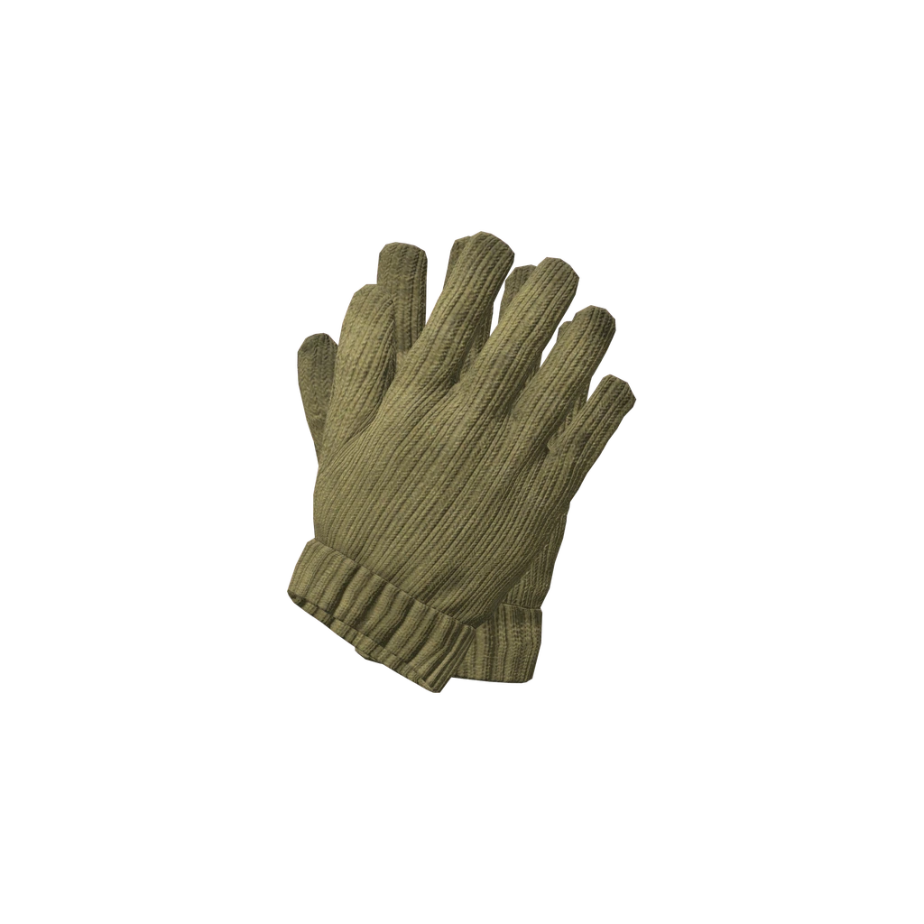 Шерстяные перчатки (WoolGloves_Tan), DayZ