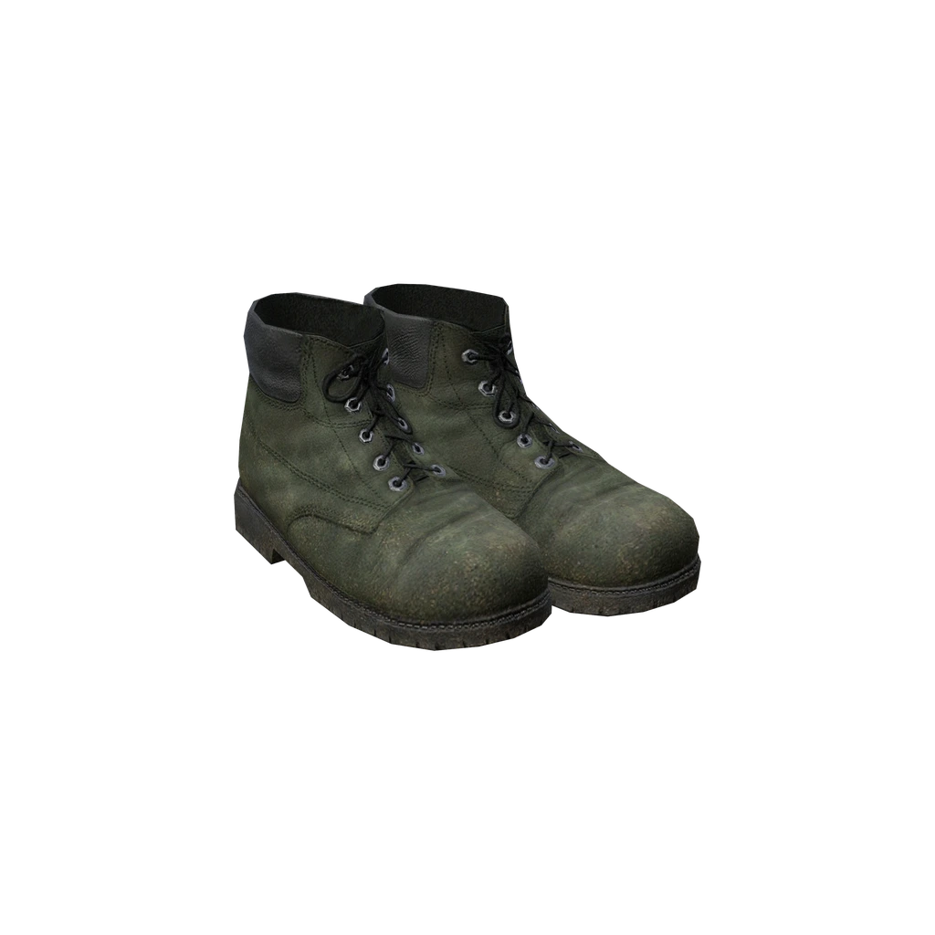 Рабочие ботинки (WorkingBoots_Green), DayZ