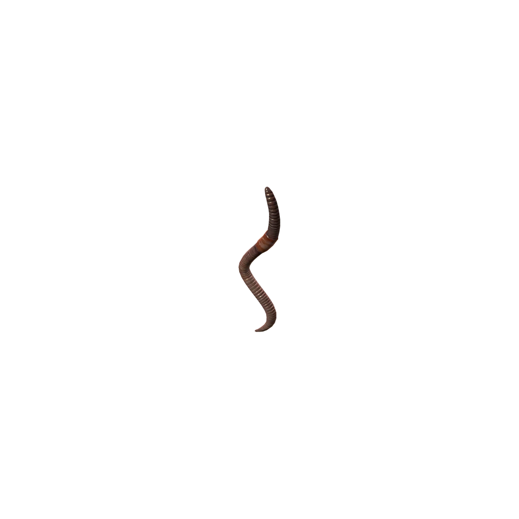 Червяк (Worm), DayZ