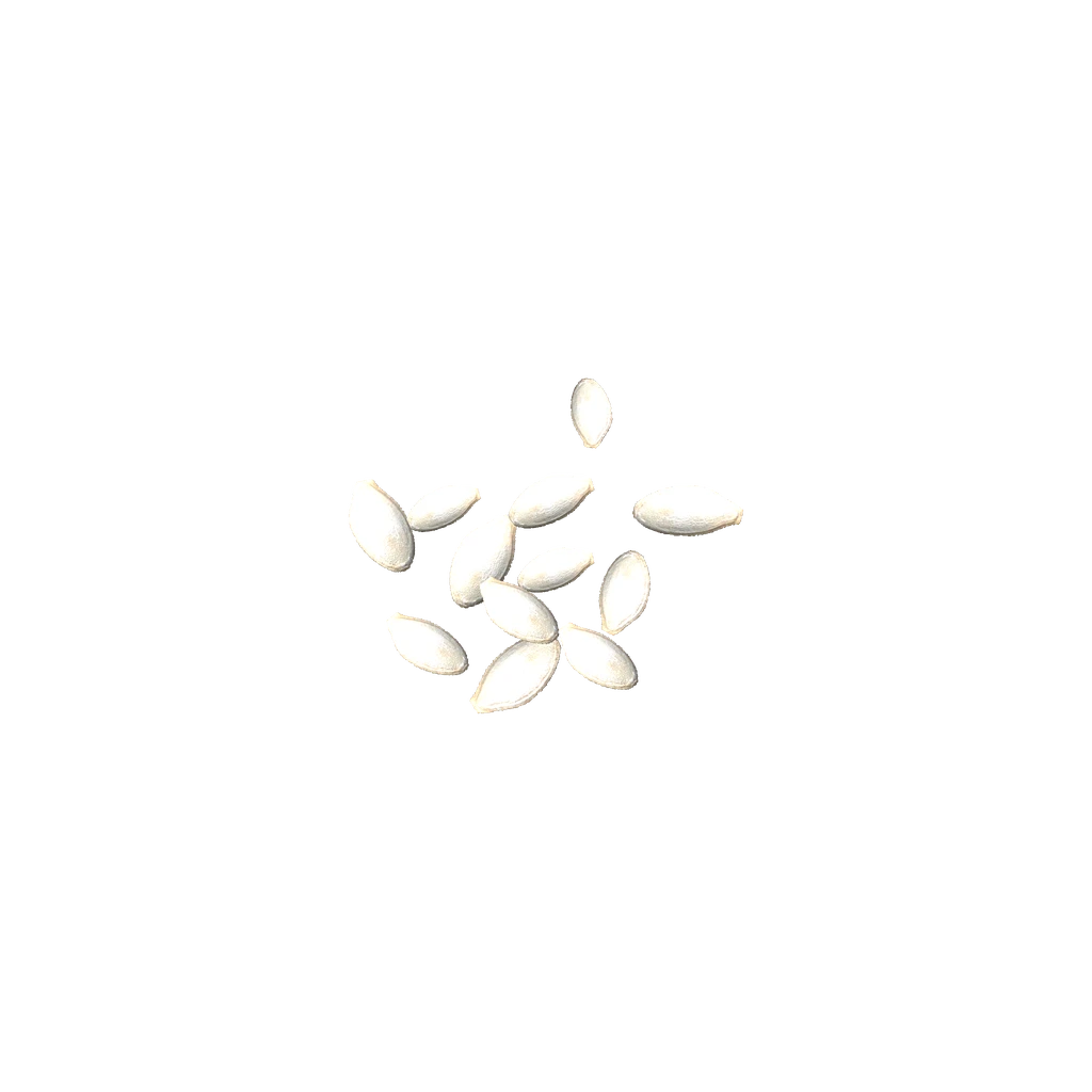 Zucchini Seeds (ZucchiniSeeds), DayZ